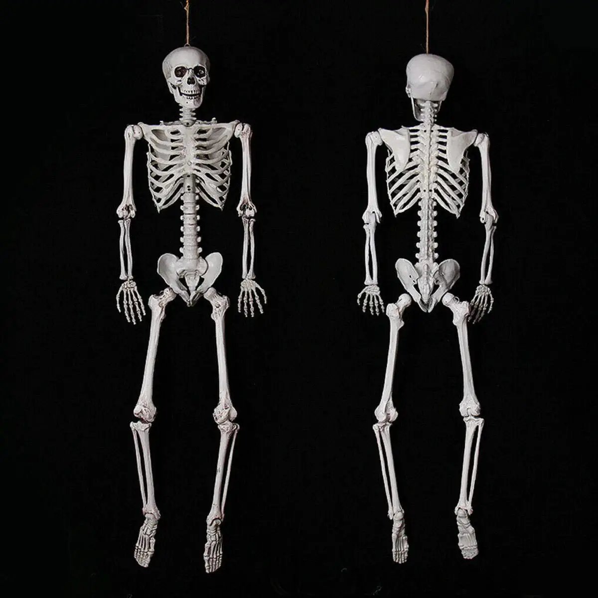 Human Skeleton Scary Bones Poseable Hanging Halloween Prop Party Decorations