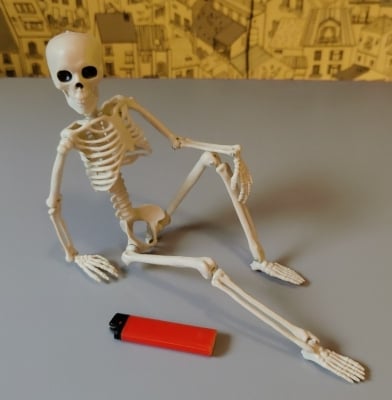 Human Skeleton Scary Bones Poseable Hanging Halloween Prop Party Decorations