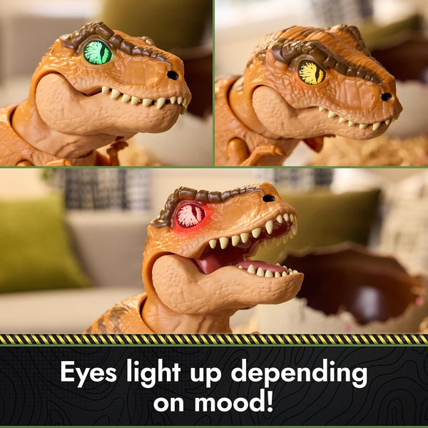 Jurassic World Dinosaur Egg: Hatch and Train Your Baby Dino