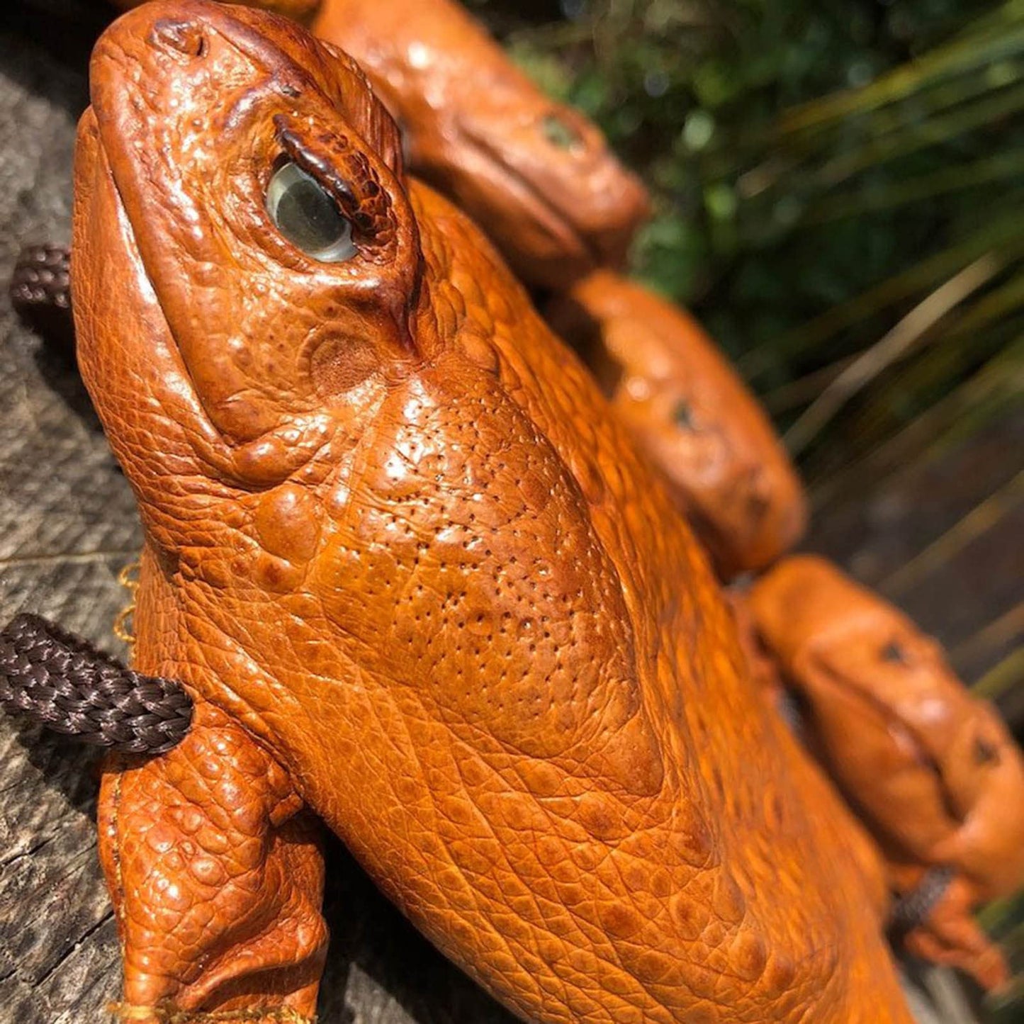 🎃Halloween Decorations🐸Funny Cane Toad Frog Purse