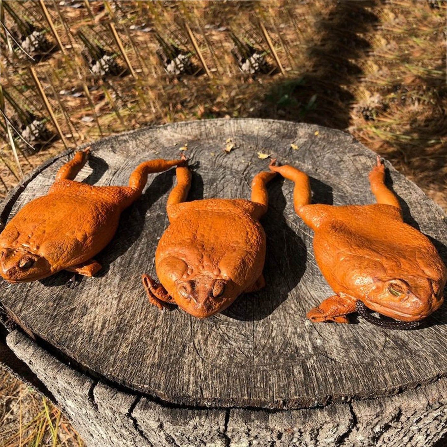 🎃Halloween Decorations🐸Funny Cane Toad Frog Purse