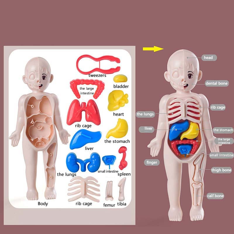 🔥Last day 49% OFF - 🔥Halloween Children's Enlightenment Toys