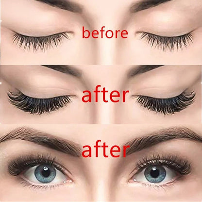 🎁Natural Magnetic 3D False Eyelashes Set